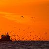 Vissersboot bij ondergaande zon met meeuwen van Menno van Duijn