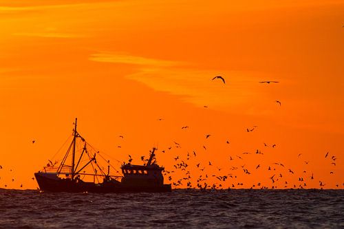 Bateau de pêche au coucher du soleil avec des mouettes
