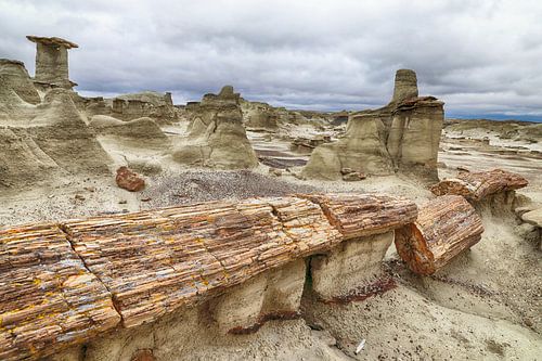 Bisti Badlands versteend hout in de winter New Mexico, VS