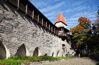 Mägdeturm, Turm  der Stadtmauer, Museum, Tallinn, Estland, Europa von Torsten Krüger Miniaturansicht