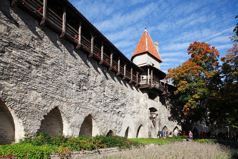 Meisjestoren, Stadsmuurtoren, Museum, Tallinn, Estland, Europa van Torsten Krüger