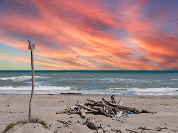 Zonsondergang aan de Adriatische Zee met drijfhout op een natuurlijk strand van Animaflora PicsStock