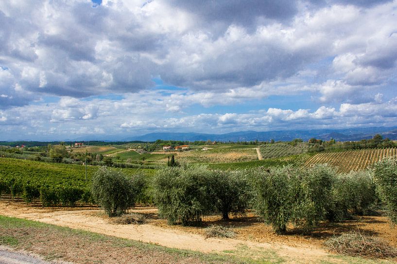 Typisch Toscane von Tess Groote