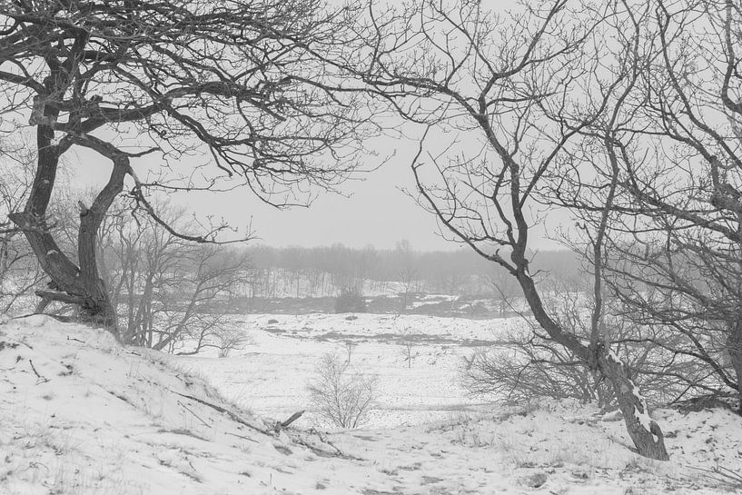 Landschap in de sneeuw van Ans Bastiaanssen