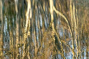 Abstractie Reflectie Bomen van Dieter Walther