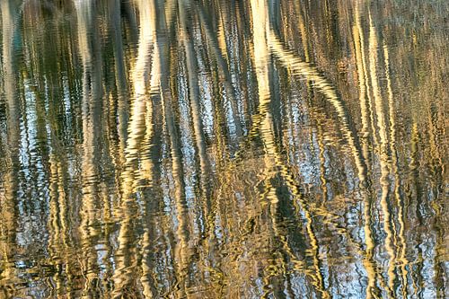 Abstractie Reflectie Bomen