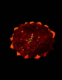 « Ember Hydrangea lXV » sur Ember Bloom