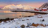 Winter met rode huisjes in Noorwegen van Adelheid Smitt thumbnail