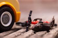 Fietspad (Toad du Molished)