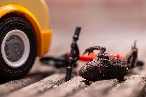 Fietspad (Toad du Molished)