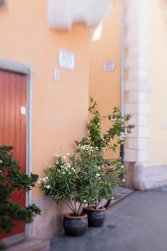 Hongarije | Györ | dromerig pastel in de stad