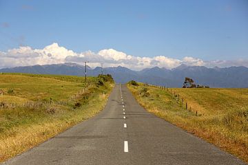Road trip Nieuw - Zeeland