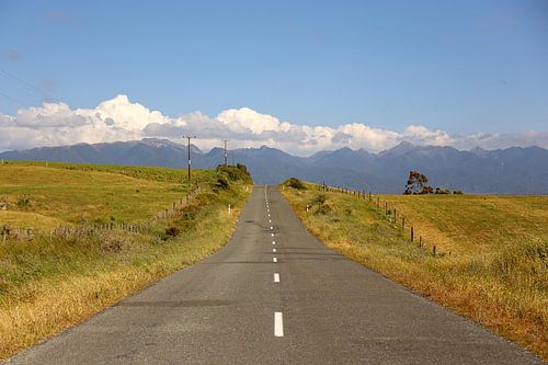 Road trip Nieuw - Zeeland