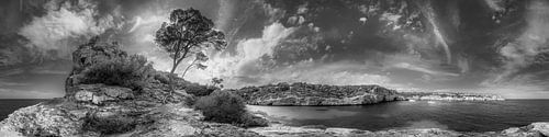 Prachtige natuur op het eiland Mallorca in zwart-wit