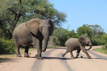 Moeder olifant en baby olifant in Afrika van SaschaSuitcase
