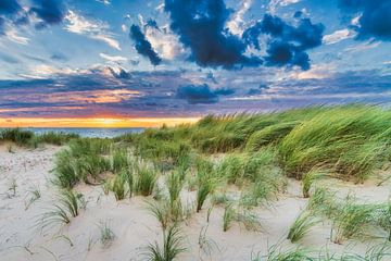 Sunset at dune area in North Holland