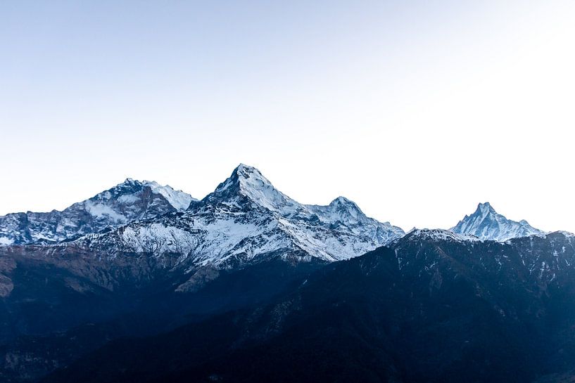 Dark snowy peaks in the morning by Mickéle Godderis
