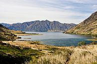 Ontsnap naar Lake Hawea, Nieuw-Zeeland van Frank Photos thumbnail