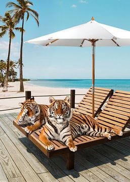 Tigers Tan Zeit von Gal Design