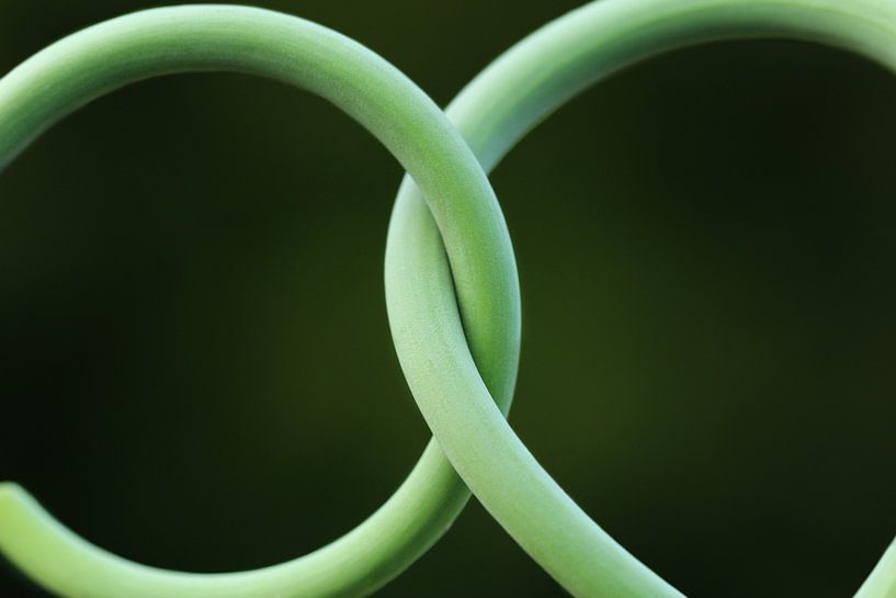 Gelöbnis by Heike Hultsch