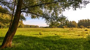 Ausgedehntes Naturschutzgebiet Horsterwold