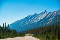 Roadtrip dans les Rocheuses canadiennes : Alberta, Canada