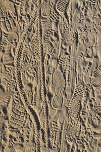 Des traces de pas dans le sable sur Jacqueline Gerhardt