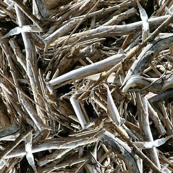 structure in driftwood 007w