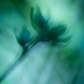 Aquarel in green by Kati van Helden