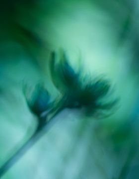 Aquarel in green by Kati van Helden