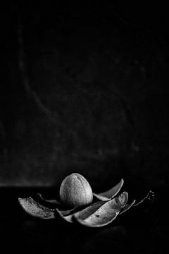 Die Reste: Avocado von André Blom Fotografie Utrecht