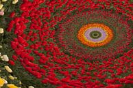 Abstract bloembollenveld van Hans Lubout thumbnail
