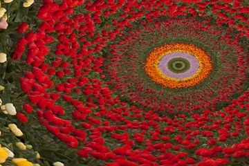 Abstract bloembollenveld van Hans Lubout
