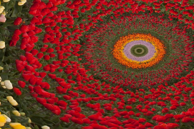 Abstract bloembollenveld van Hans Lubout
