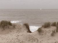 Meerblick von der Düne aus
