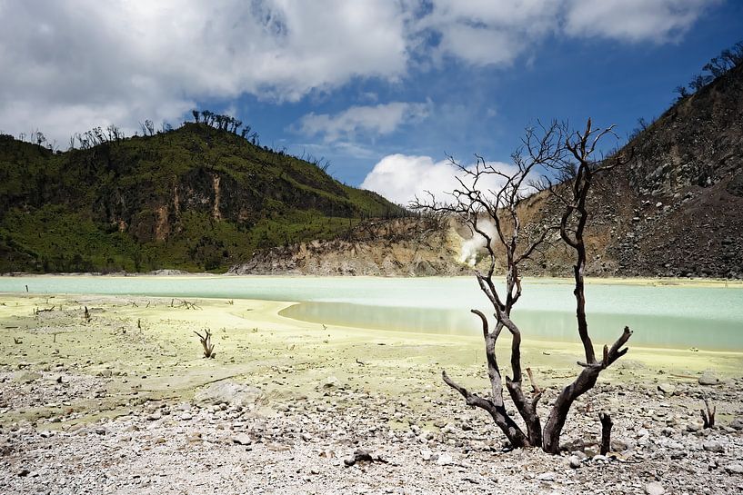 The sulphurous, lunar shores of Lake Kawah Putih by Frank Photos