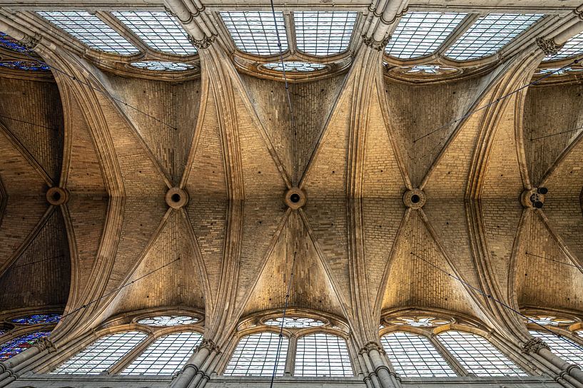 Kerkelijke plafonds van Karsten Rahn