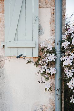 Bloemen aan de muur van Marika Huisman fotografie