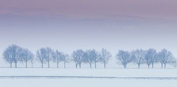 Line of trees by Wim van D