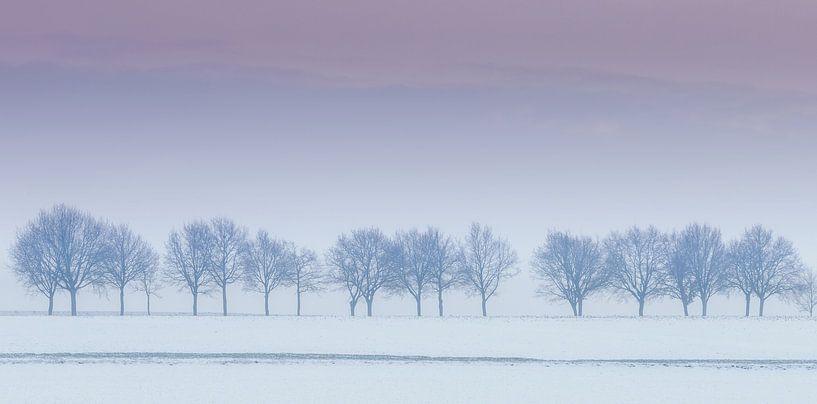 Line of trees van Wim van D