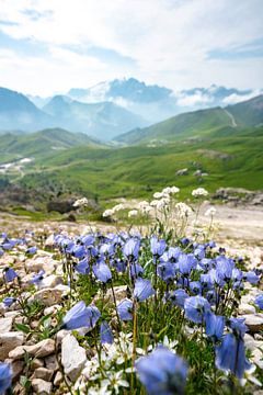 Bergachtig uitzicht met blauwe bloemen van Leo Schindzielorz