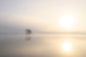 Mist rising up from the river IJssel during a cold winter morning