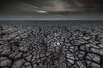 Dunkle Strukturen im Wattenmeer