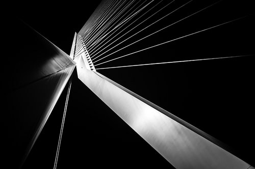 Unter dem Schwan — Erasmusbrücke, Rotterdam
