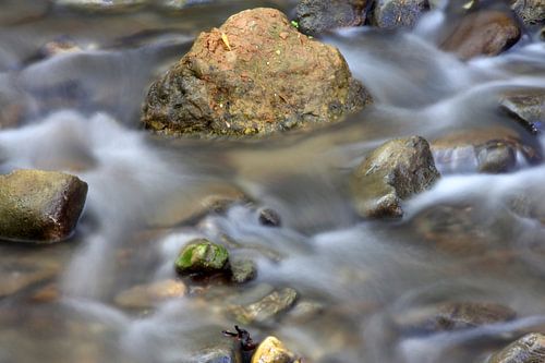 Rio Daro