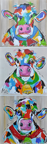 Cows high