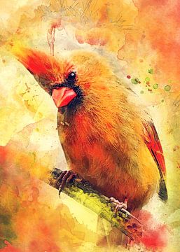 Kardinaal vogel aquarel kunst #cardinal van JBJart Justyna Jaszke