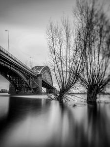 Nijmegen Hochwasser #11 von Lex Schulte