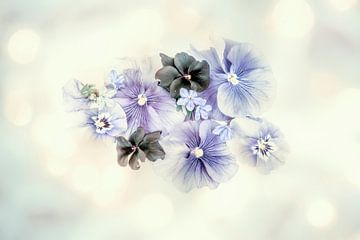 Soft Violets 3. ( drieluik ) Digital Art van Alie Ekkelenkamp