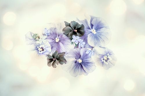 Soft Violets 3. ( drieluik ) Digital Art